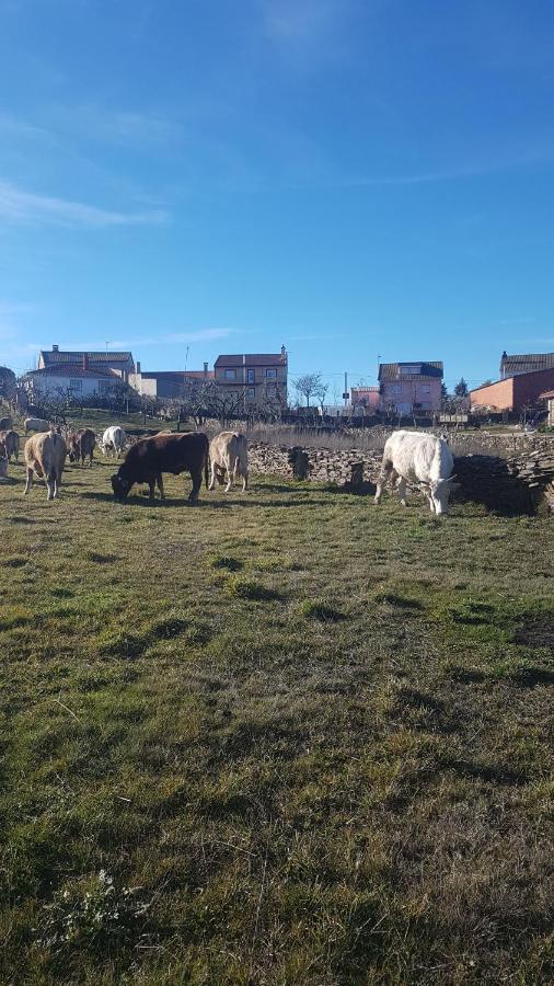Albergue Agustina Samir de los Canos Exteriér fotografie